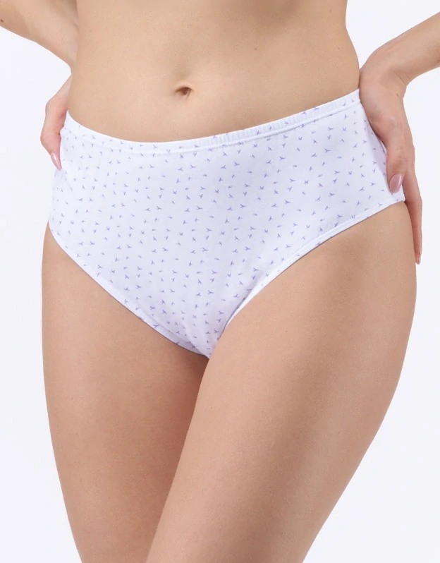 11093P kalhotky klasické ve větších velikostech