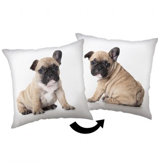 Polštářek Bulldog