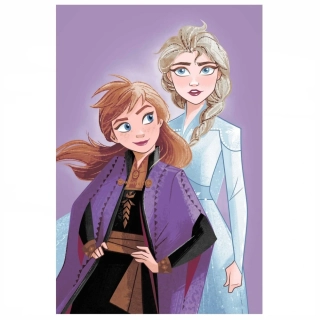 Mikroflanelová deka Frozen Purple 05 100x150 cm