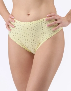 11093P kalhotky klasické ve větších velikostech