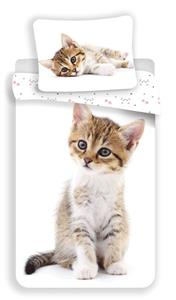 Povlečení fototisk Kitten white