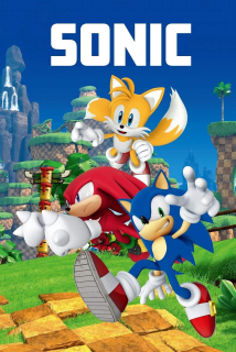 Dětská fleecová deka Sonic 023
